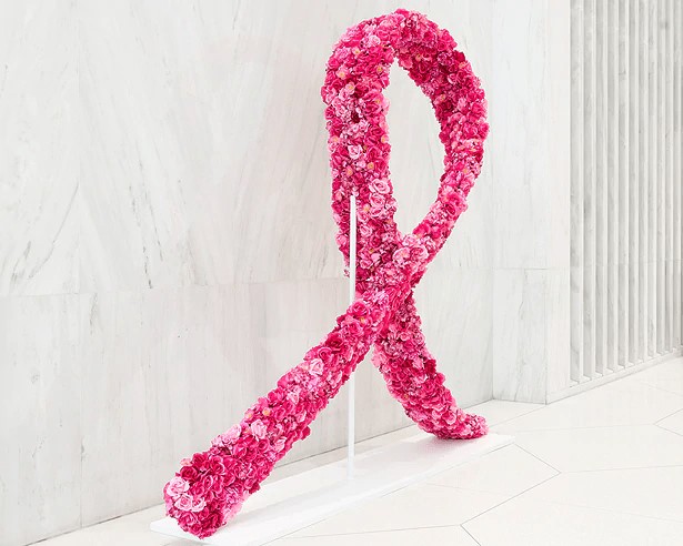 کمپین سرطان سینه شرکت استی لادر	